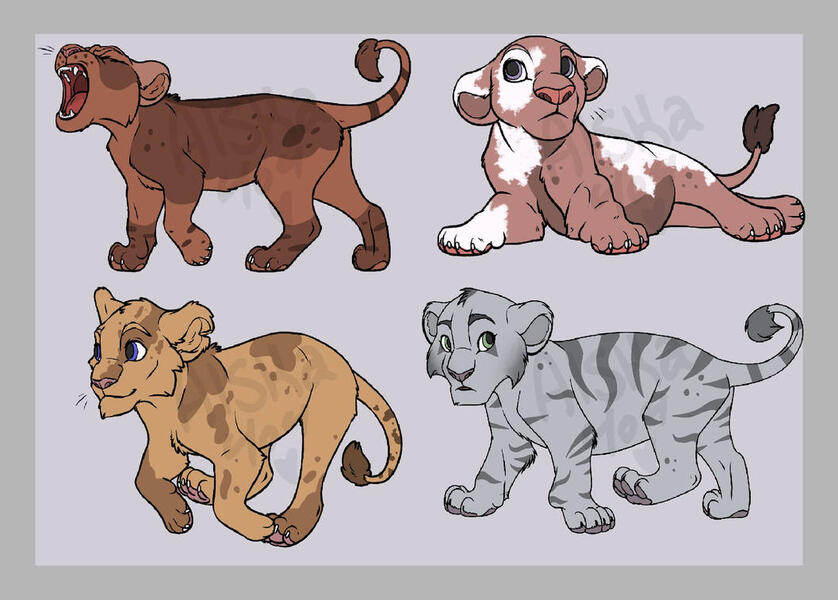 Lion Cub adopts